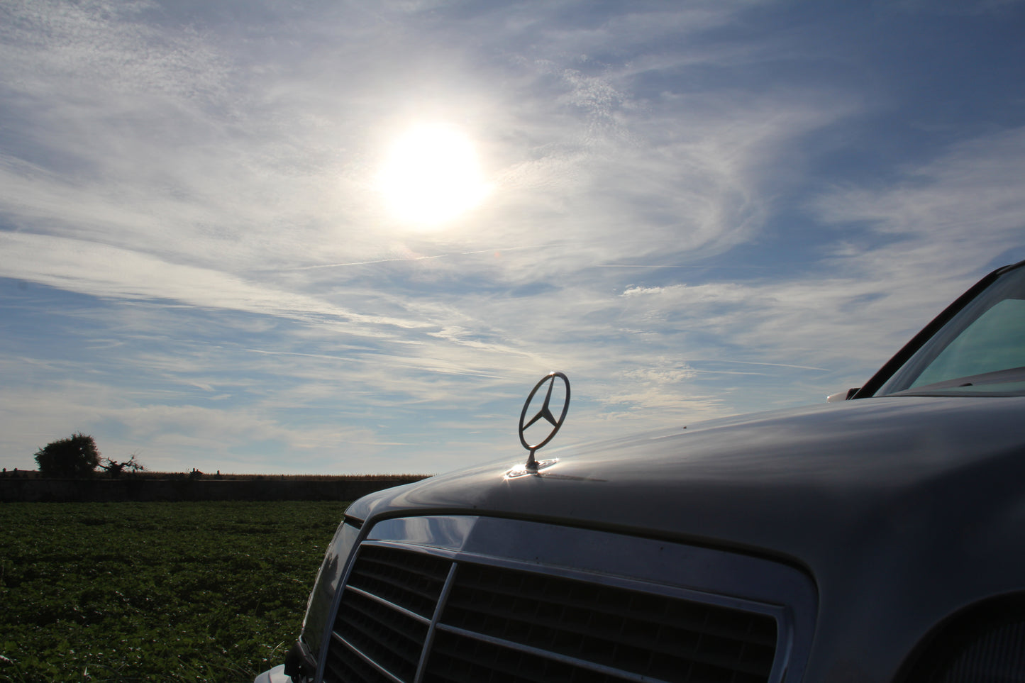 MERCEDES BENZ AMG CLASSE E 420 1995