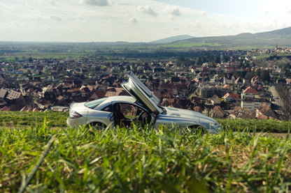 MERCEDES-BENZ / MCLAREN SLR