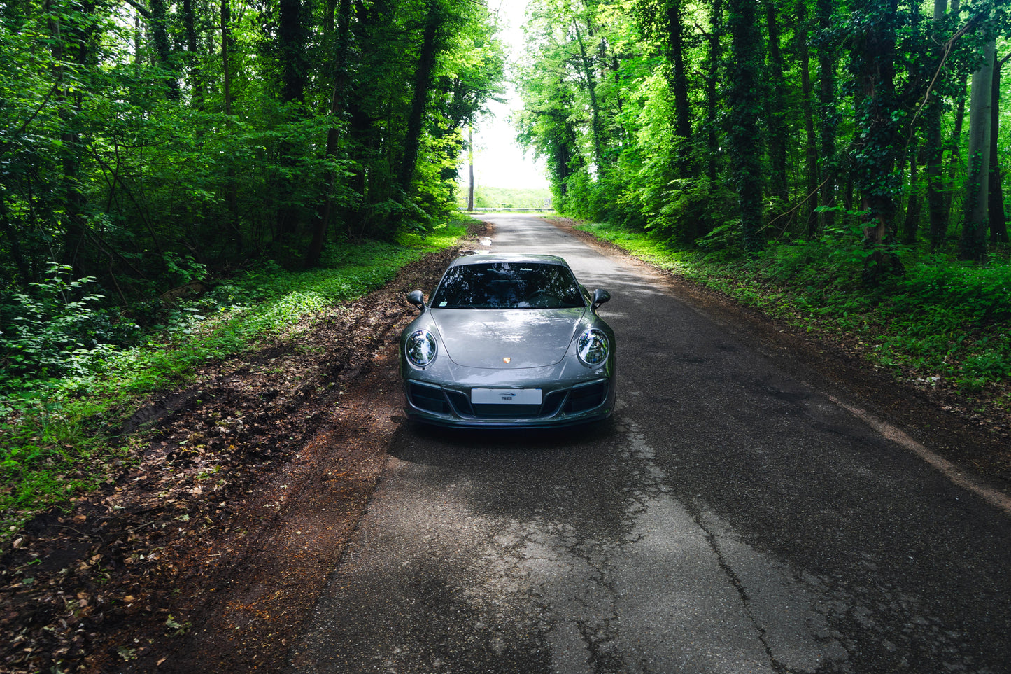 PORSCHE 991.2 GTS