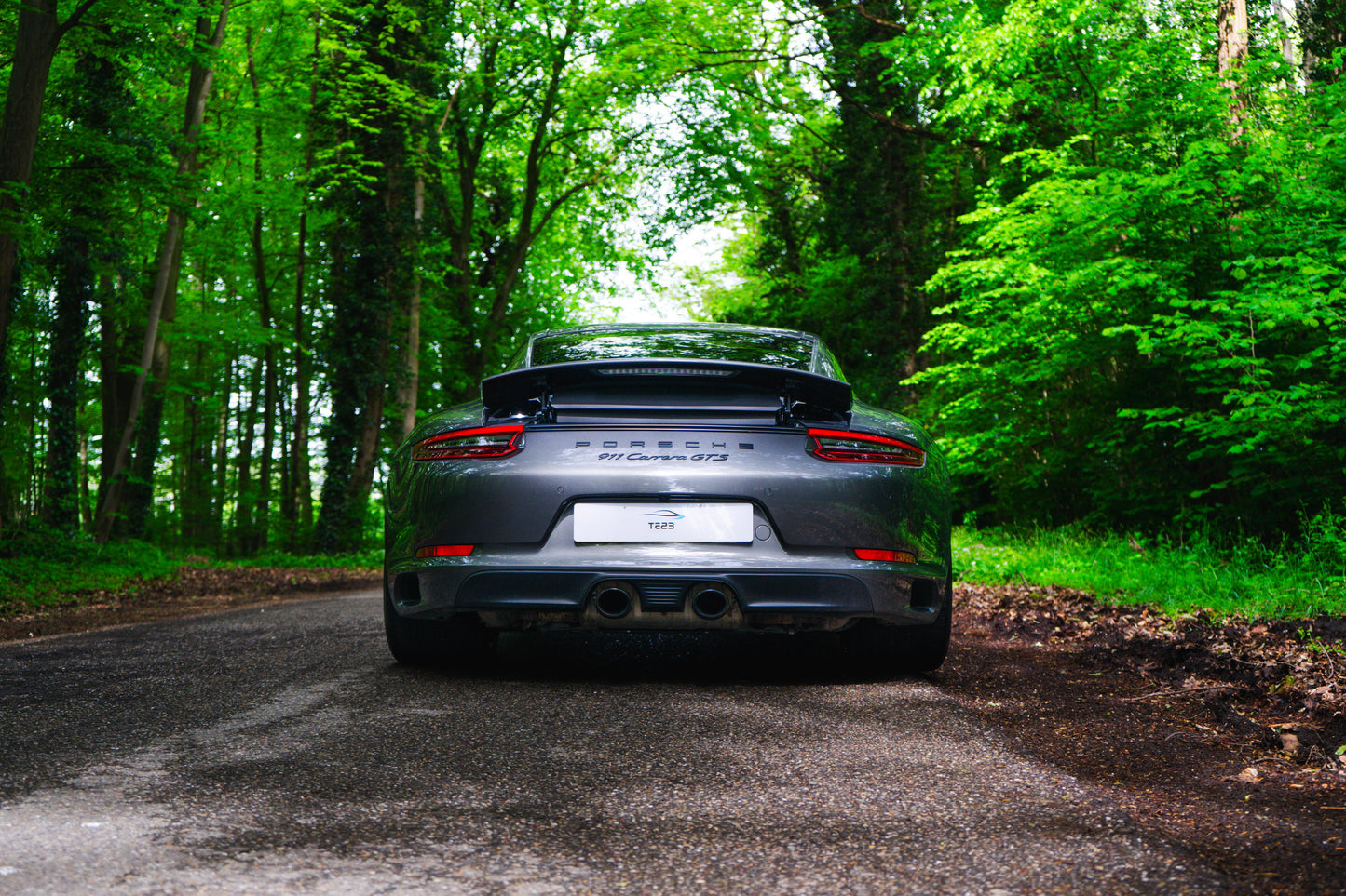 PORSCHE 991.2 GTS