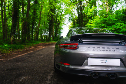 PORSCHE 991.2 GTS