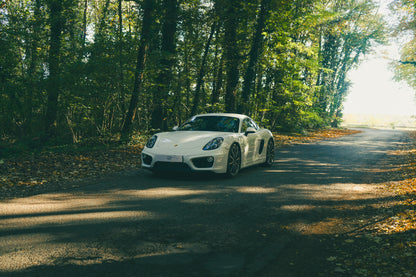 Porsche 981 Cayman