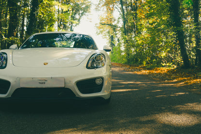 Porsche 981 Cayman