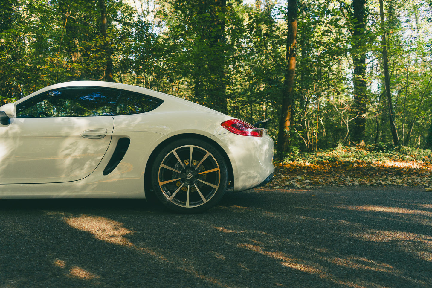 Porsche 981 Cayman