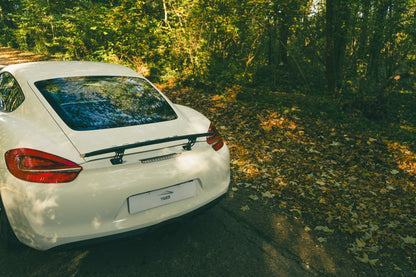 Porsche 981 Cayman