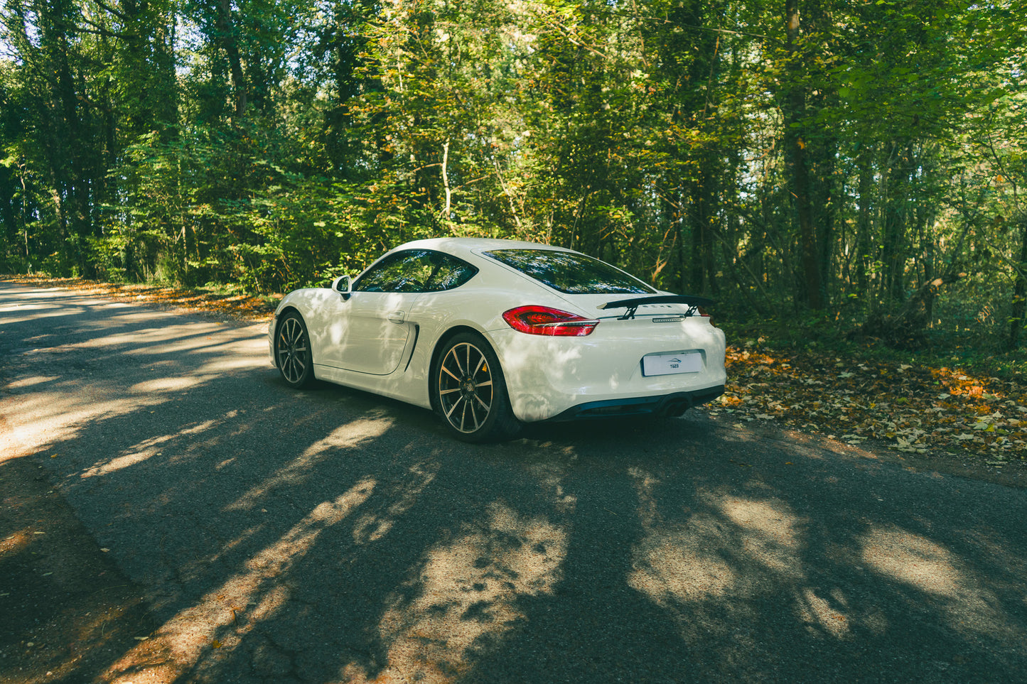 Porsche 981 Cayman