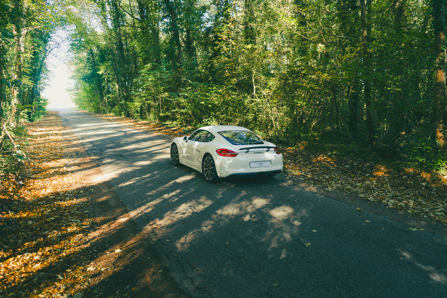 Porsche 981 Cayman