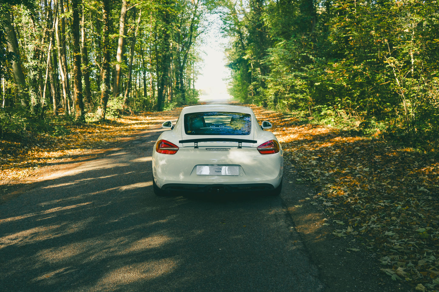 Porsche 981 Cayman