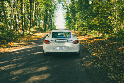 Porsche 981 Cayman