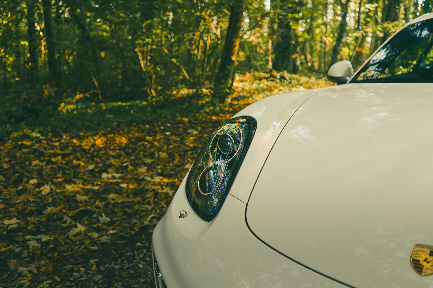 Porsche 981 Cayman