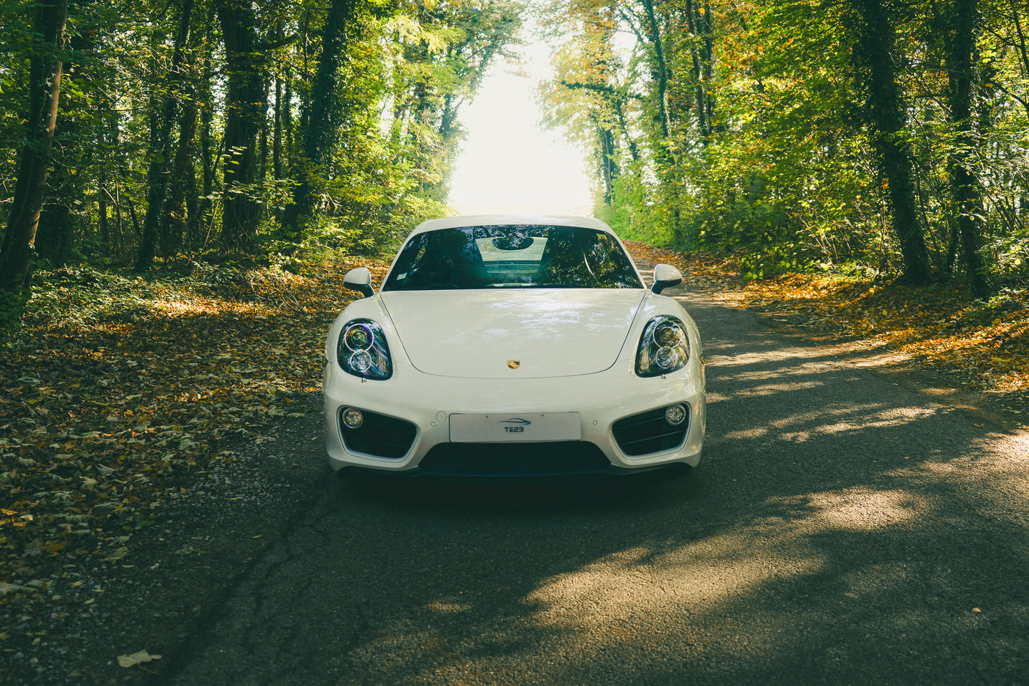 Porsche 981 Cayman