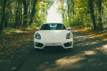 Porsche 981 Cayman