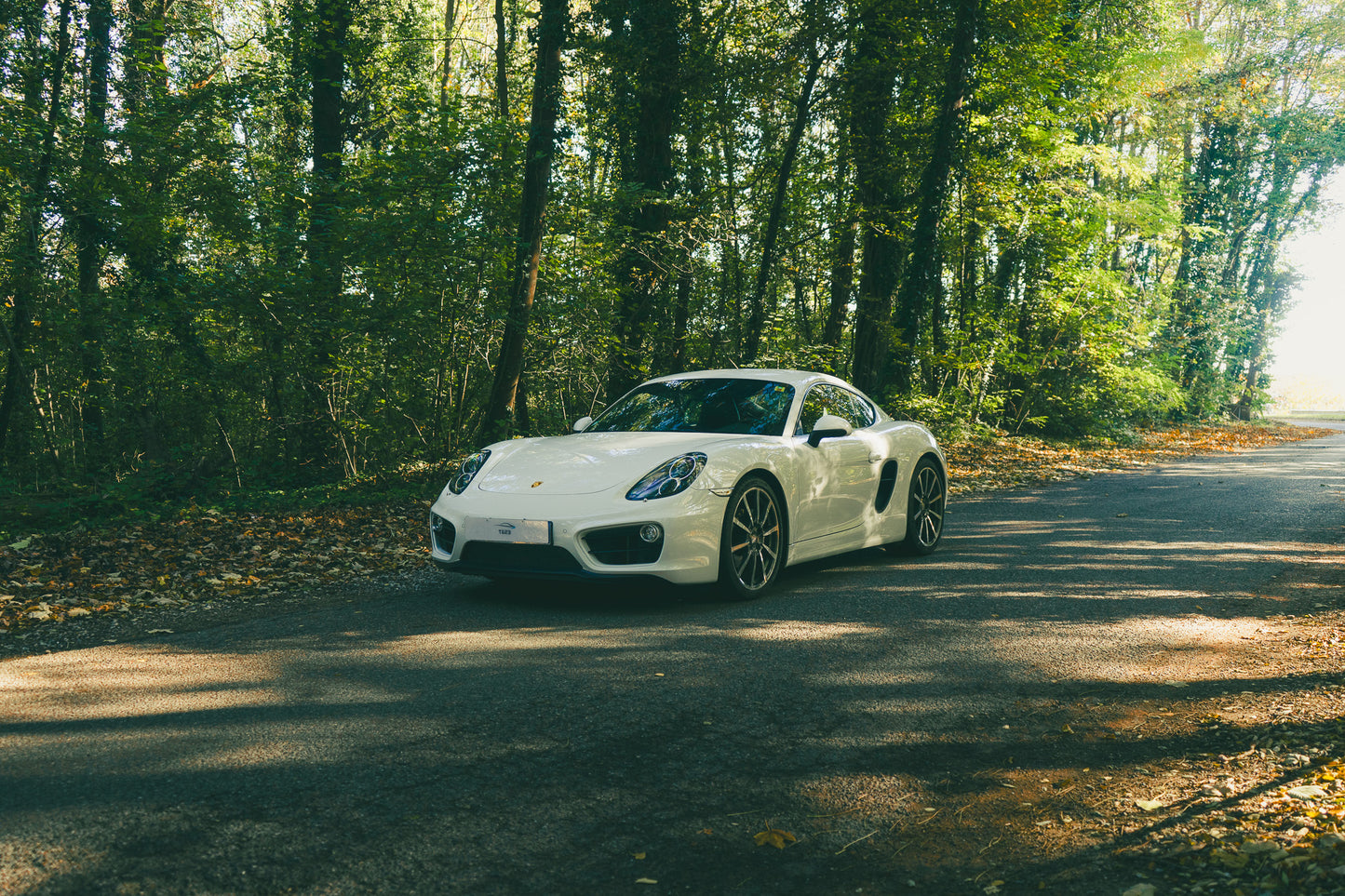 Porsche 981 Cayman