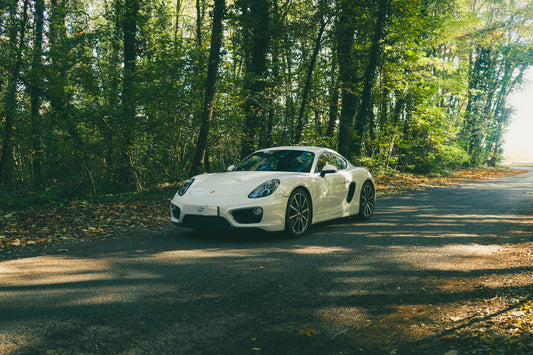 Porsche 981 Cayman