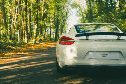 Porsche 981 Cayman