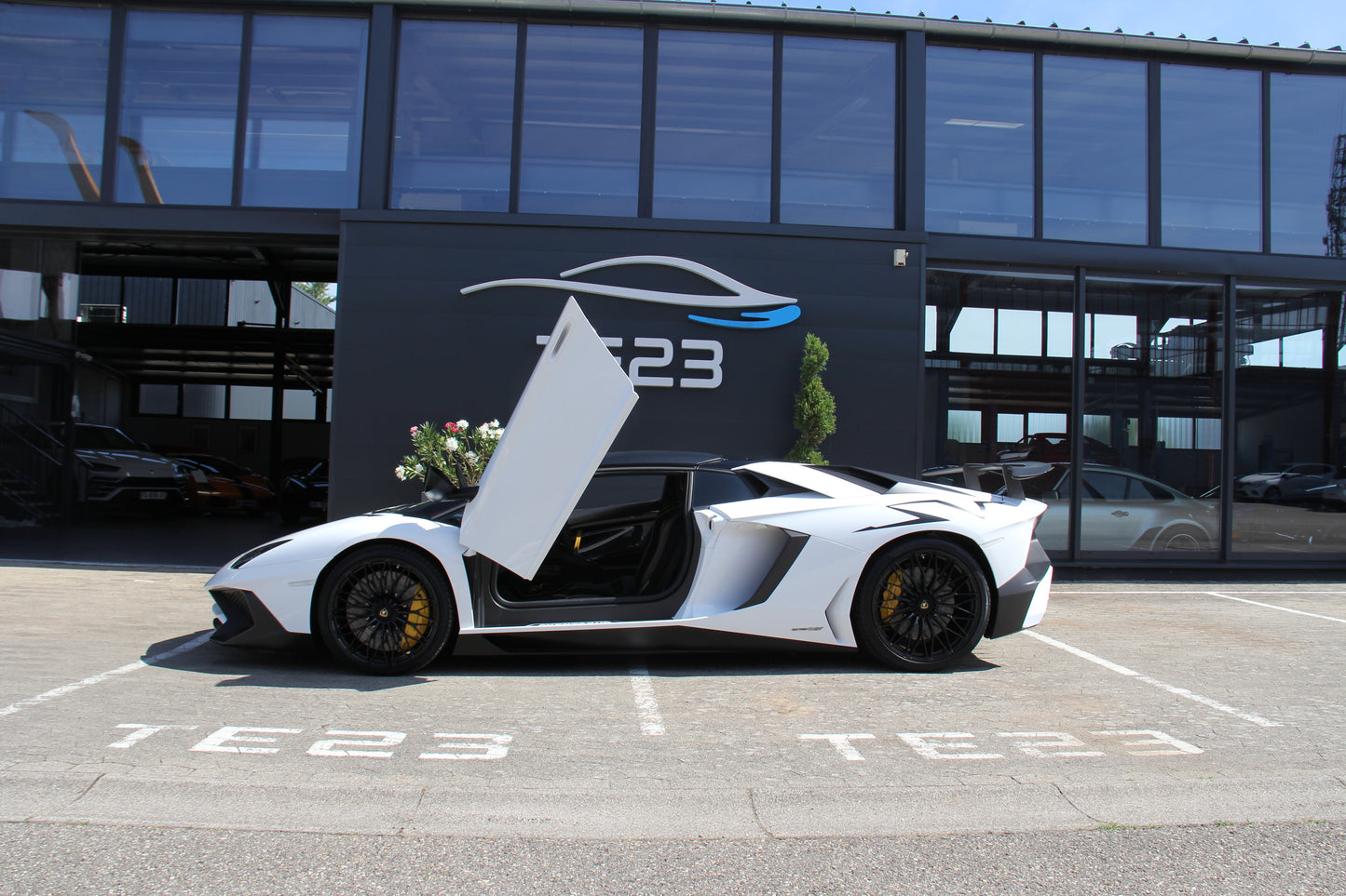 LAMBORGHINI AVENTADOR SV ROADSTER